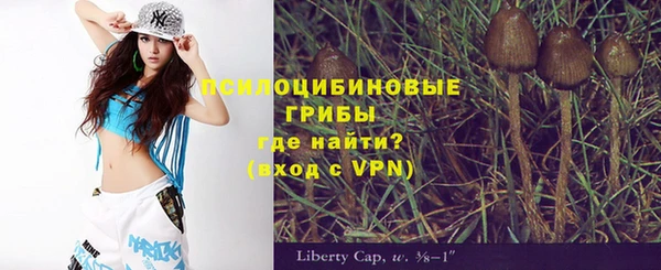 гашик Армянск